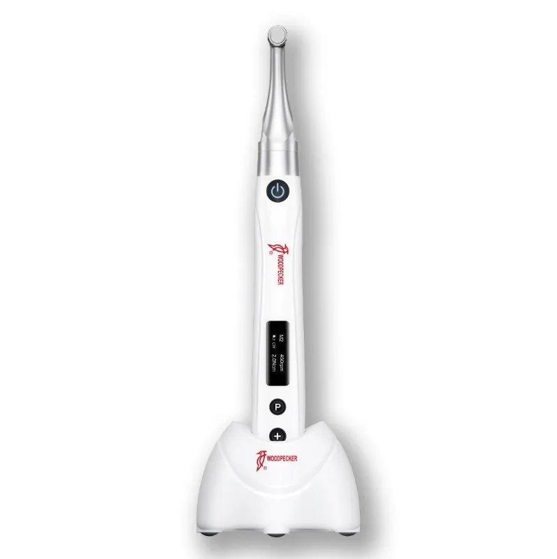 WOODPECKER ENDO FREE (APEXSİZ ENDOMOTOR)